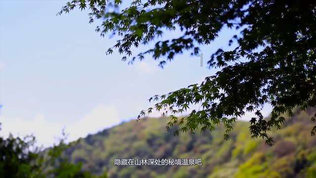 哈哈体育官方入口